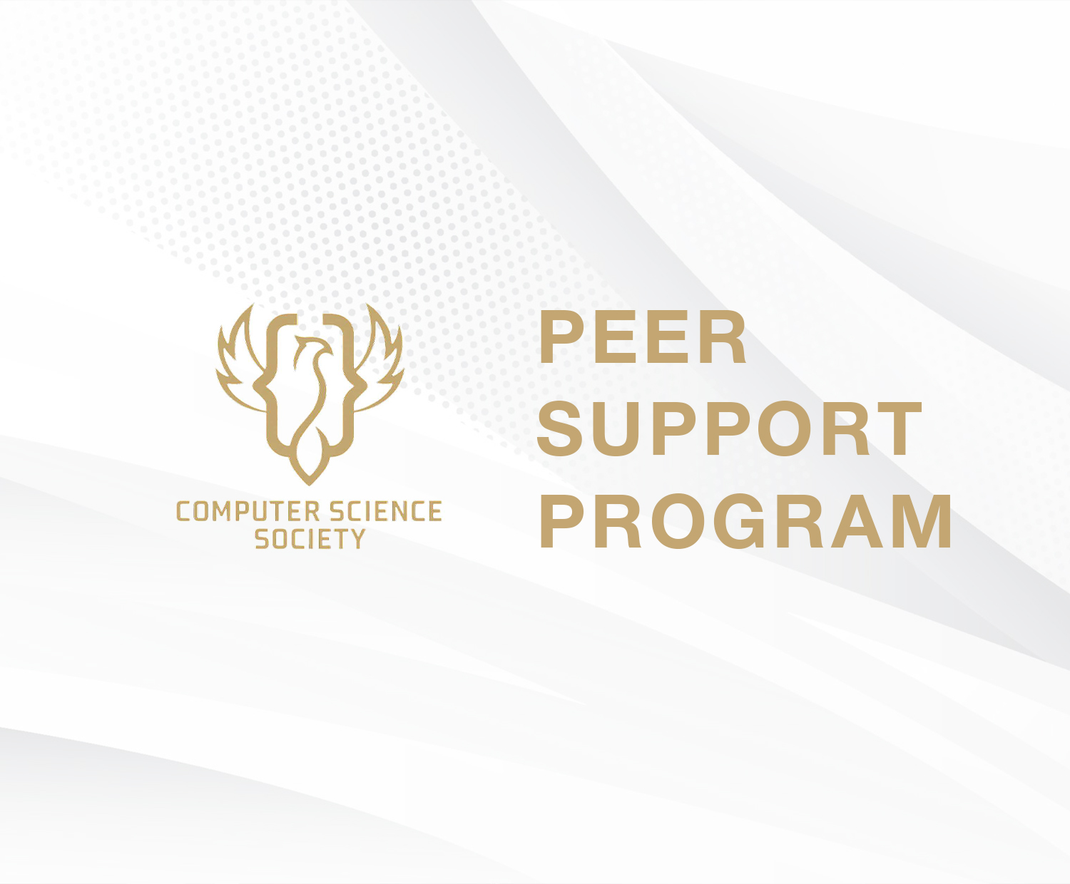 Computer Science Peer Support Program 